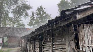 Torrential Rain in a Small Village | Peaceful & Calming Ambience