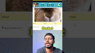 Which animal's nose  that  #shorts #youtubeshorts