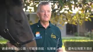 皇者的退休樂園，馬王睇牙 Champion Horses' retirement life