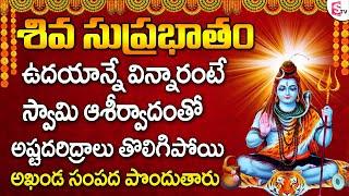 Shiva Suprabhatham | Lord Siva Telugu Devotional Songs | Telugu Bhakti Songs | PrimeMusic Devotional