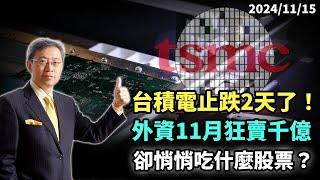 2024/11/15 台積電止跌2天了！外資11月狂賣千億 卻悄悄吃什麼股票？ 朱成志社長