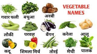 45 Vegetable Name in English & Hindi with Pictures | Vegatable Vocabulary | सब्जियों के नाम #english