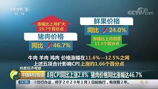 [中国财经报道]月度经济观察 8月CPI同比上涨2.8% 猪肉价格同比涨幅达46.7%| CCTV财经