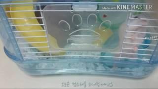 뽀담의 햄찌 소개너의정체가 뭐야;