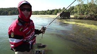 Tips to Find & Catch Bass in Grass Beds