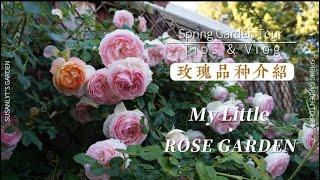 My Rose Garden Tour | 21 Rose Varieties for Full Sun, Part Sun and Part Shade Areas | zone 9B | Ep15