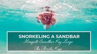 Discovering the Secret World Beneath the Waves:  Snorkeling in Mosquito Sandbar, Key Largo