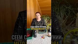 Посев петунии на рассаду