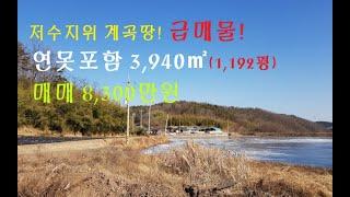 경북 영천시 고경면 저수지위 계곡땅!  연못포함 급매물, 3,940㎡,(1,192평) 매매 8,300만원입니다