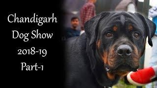 Chandigarh Dog Show 2018-19 Part 01