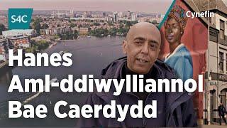 Bae Caerdydd dros y blynyddoedd | Cardiff Bay history | Cynefin | S4C