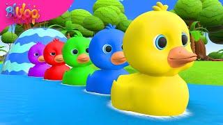 5 Little Ducks Song | BluLoo Nursery Rhymes & Kids Songs