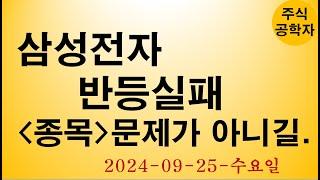 삼성전자  주가전망 240925수