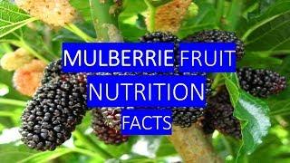 MULBERRIES HEALTH BENEFITS AND NUTRITION FACTS