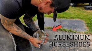 Aluminum Horseshoes for a Show Hunter