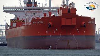 GIANT SHIPS at ROTTERDAM Port - 4K SHIPSPOTTING January 2022