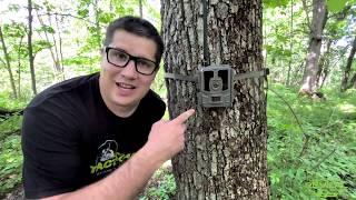 Reveal by Tactacam - Cellular Trail Camera