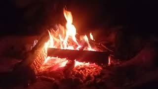 Hurdy-Gurdy and an evening sitting by the fire.