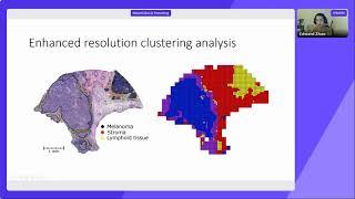 BayesSpace enables the robust characterization of spatial gene expression architecture
