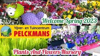 2023 Plant Haul & Nursery Tour|Pelckmans Turnhout|Plants & Flowers Nursery Tour|Spring Plants Haul