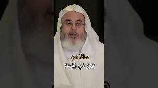 ماذا عن عمرة ذي القعدة ﴿الشيخ محمد صالح المنجد ﴾@almunajjid