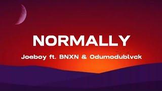 Joeboy ft. BNXN & Odumodublvck - Normally (Lyrics)