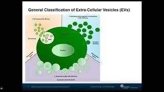 Scaling-Up Exosomes and Other Extracellular Vesicles