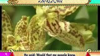 Surah Ya Sin   Beautiful Recitation and Visualization of The Holy Quran   YouTube