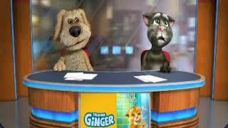 Novosty flippy tv