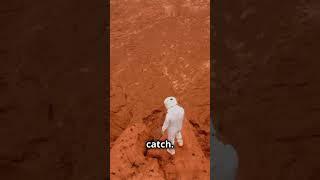 Mars' Hidden Oceans Liquid Water Found!
