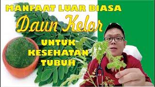 MANFAAT LUAR BIASA DAUN KELOR UNTUK KESEHATAN TUBUH