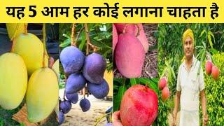 Best Thailand Mango Variety In India || Best Mango Variety In India | Home garden