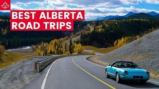 These are the BEST ROAD TRIPS in ALBERTA!