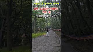 셔플댄스로 경주투어 45번째 (경주 소금강산과 백률사 가는 길) 퇴직 후 이 남자가 노는 법 / Shuffle dance tour in Gyeongju