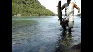 Niagara river musky on 4lb testline