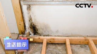 墙面渗水发霉 是怎么回事？20210829 |《生活提示》CCTV科教