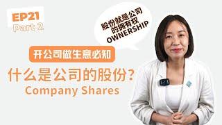 EP21.  什么是公司股份？Company Shares Part 2