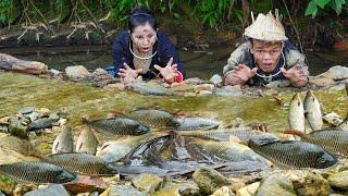 Dwarf Family: Built a dam to block the stream to catch fish to sell at the market | Primitive Joy