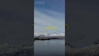 the COD war