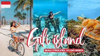 Gili Trawangan Lombok | Dolphines, turtles and Diving with Sharks