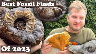 My Best fossil finds of 2023