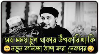 সবসময় চুপচাপ থাকার উপকারিতা কী  ।। আবু ত্বহা মুহাম্মদ আদনান, ।। abu taha muhammad adnan new waz