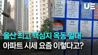 "역대 최고가 기록"...울산 핵심지 옥동 아파트 시세 이 정도?