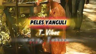 Peles Yanguli (route 700) by T-Vibes [prod by Tskeen] TMP Record's 2024 PNG Music (Official Music)