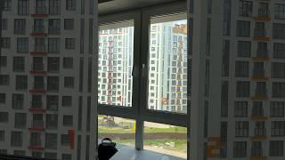 Трехкомнатная квартира в ЖК «Фарфоровый». Кропоткина, 61