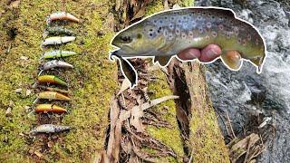 Daiwa Dr. Minnow Colour Challenge