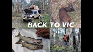 Hunting, Fishing, Traveling High Country Victoria (Sambar Deer, Trout)