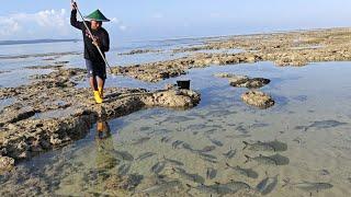 Hari ke 18 di Pulau Terpencil, KUBANGAN AIR DI PENUHI GEROMBOLAN IKAN 