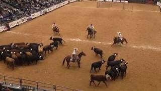 Team Penning New World Record - 2018 WRCA World Championship Ranch Rodeo (CENSORED)