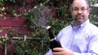 Let's Saber Champagne Bottle with Matthew Horbund